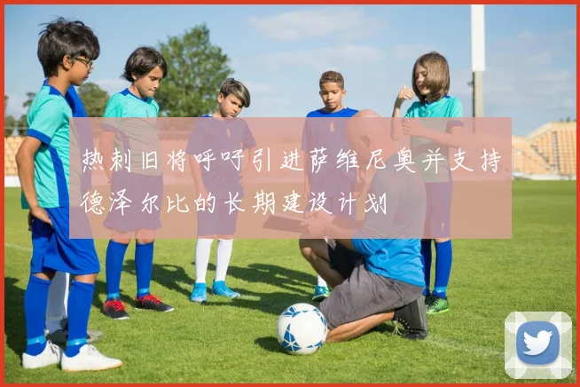 热刺旧将呼吁引进萨维尼奥并支持德泽尔比的长期建设计划